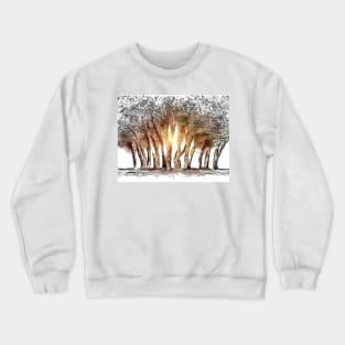 Sun-Kissed Forest Path Artwork Crewneck Sweatshirt